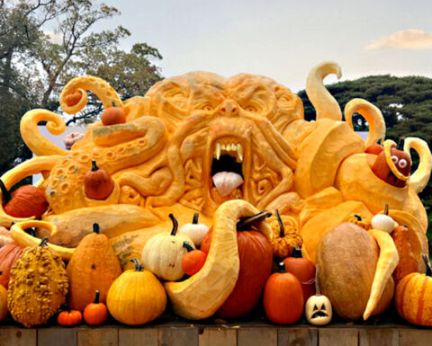 Adam Bierton's pumpkin carving at the New York Botanical Garden.